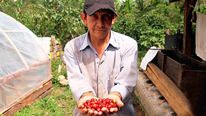 SialAgro - agricultor selva San MartĆn PerĆŗ