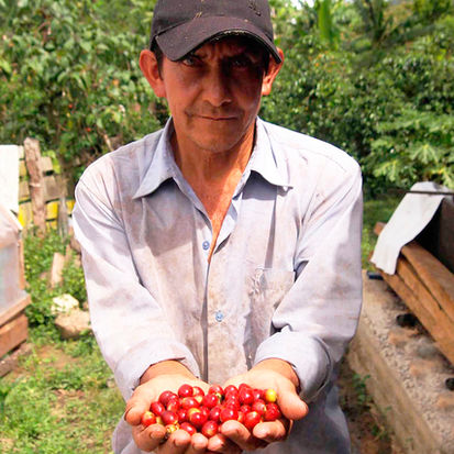 SialAgro - agricultor selva San MartĆn PerĆŗ