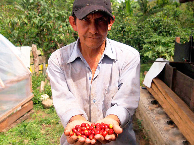 SialAgro - agricultor selva San MartĆn PerĆŗ