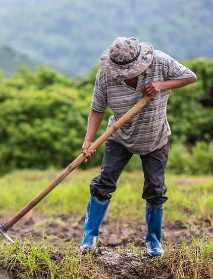 Agricultor San Martin sialagro perĆŗ